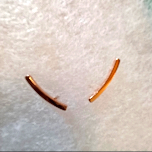 Earrings - Picture 1 of 1